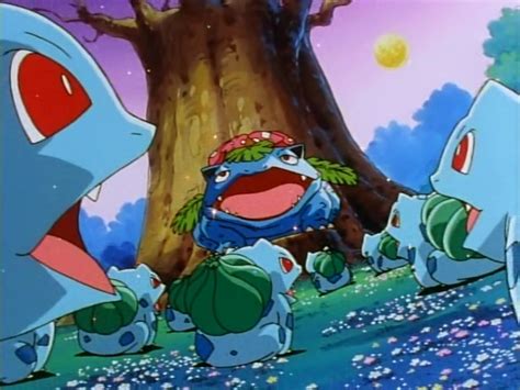 pokemon bulbasaur episode|Bulbasaur's Mysterious Garden .